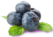 blueberry 4