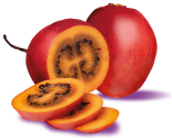 fresh-ripe-sliced-tamarillo 4